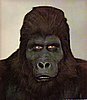 Gorilla mask.jpg