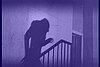 Nosferatu323.jpg Nosferatu323.jpg